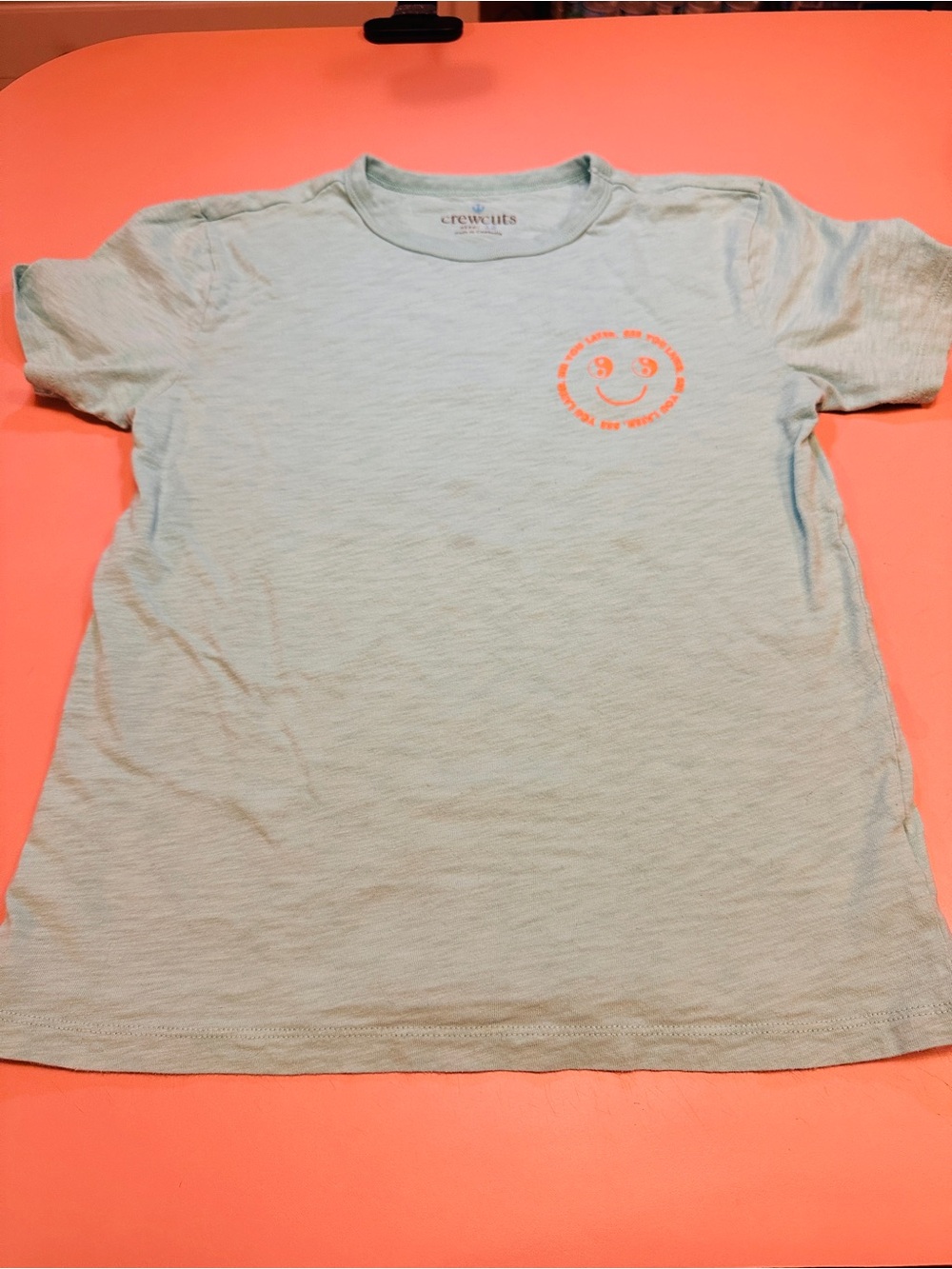Crewcuts Boys Combo! Mint Green Short Sleeve Tee & Green Checkered Button Down